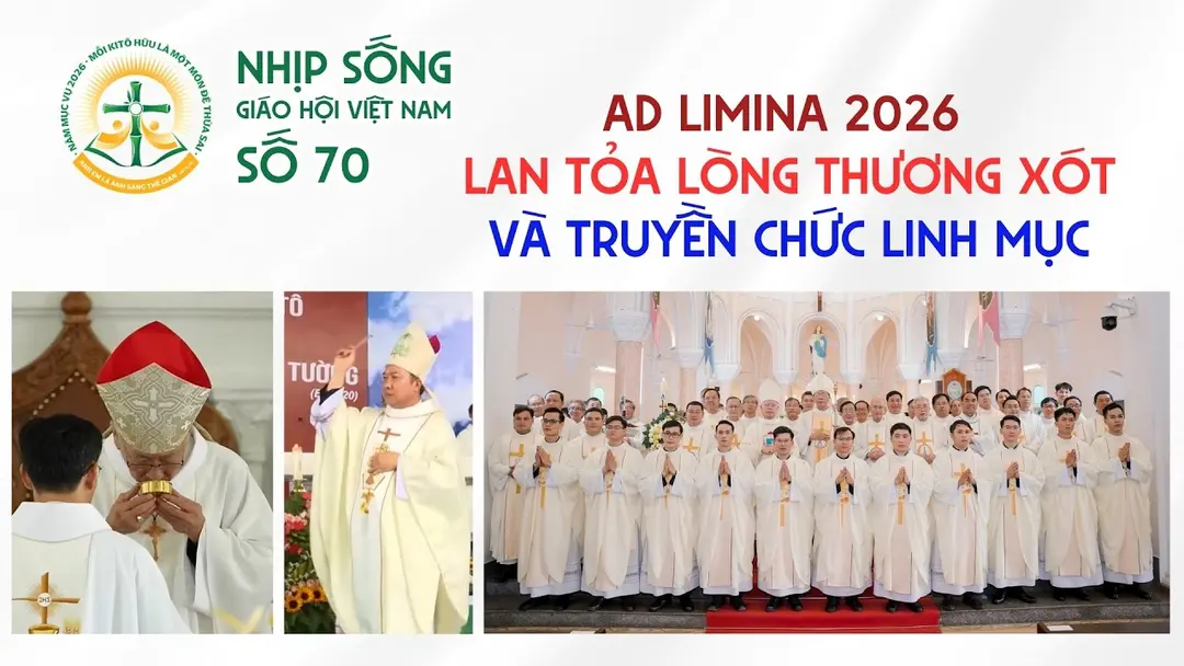 Ad Limina 2026, Lan tỏa lòng thương xót và truyền chức linh mục - Nhịp sống Giáo hội Việt Nam số 70 (13/3/2026 - 20/4/2026)